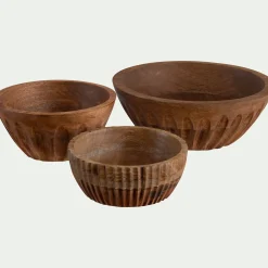 Bol en bois de manguier D13cm - bois clair