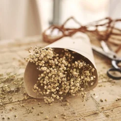 Botte de gypsophiles séchées 50cm - blanc