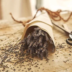 Botte de lavande séchée 35cm - bleu