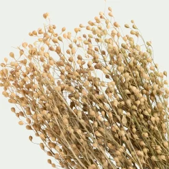 Botte de Passerages séchées H55cm - jaune