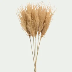 Botte de roseau séchée H55cm - beige