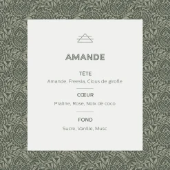 Bougie parfumée senteur Amande 160g