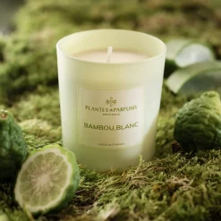 Bougie parfumée senteur Bambou Blanc 180g