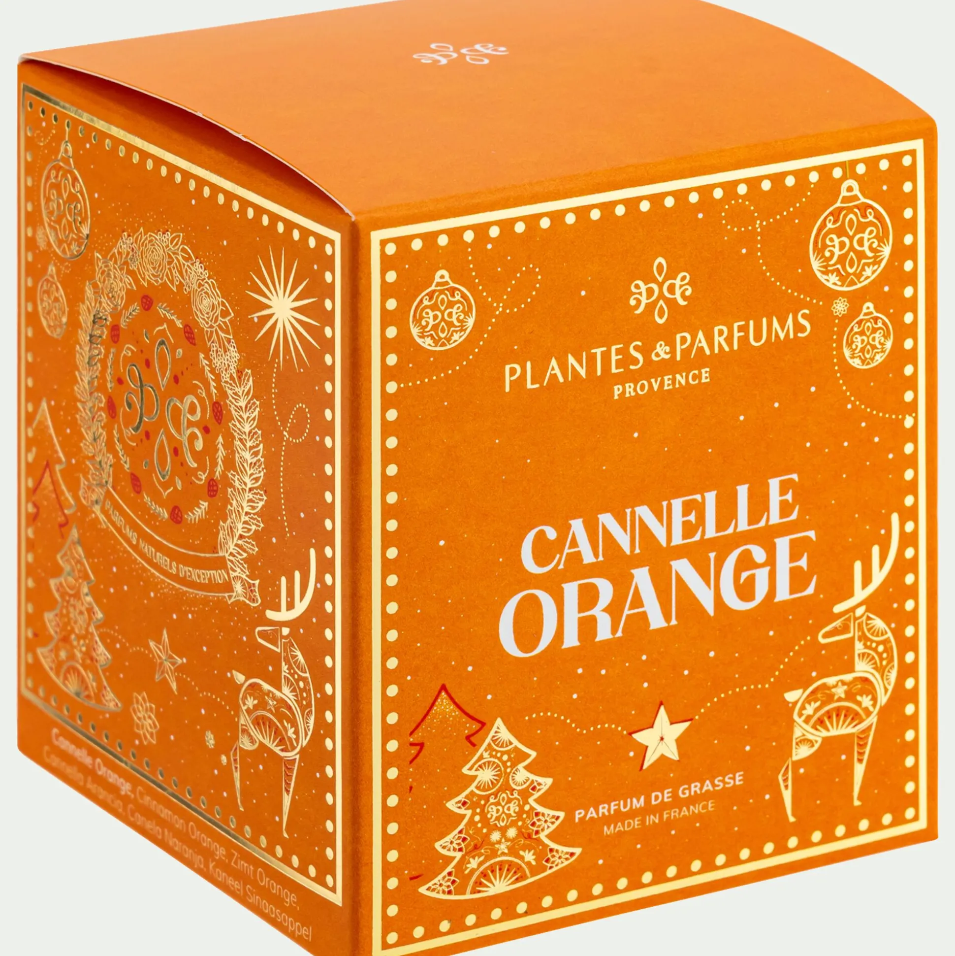 Bougie parfumée senteur Cannelle Orange 180g