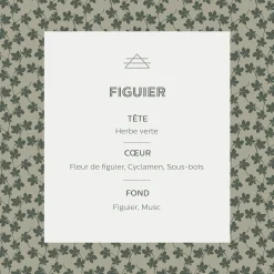 Bougie parfumée senteur Figuier 160g