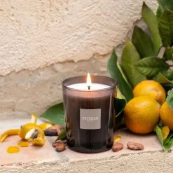 Bougie parfumée senteur iris cachemire 180g