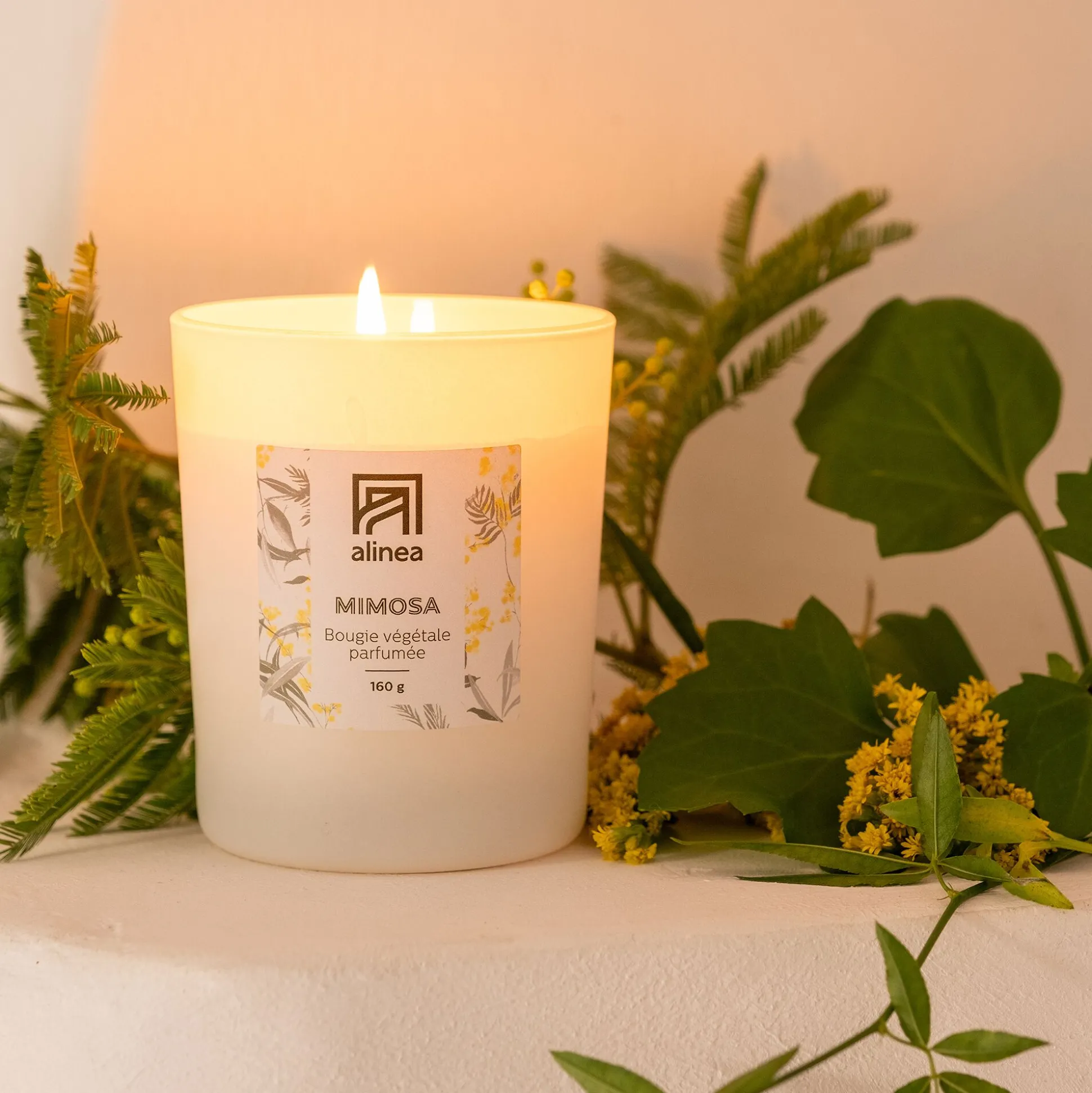 Bougie parfumée senteur mimosa 160g