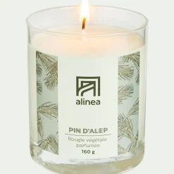 Bougie parfumée senteur Pin d'Alep 160g