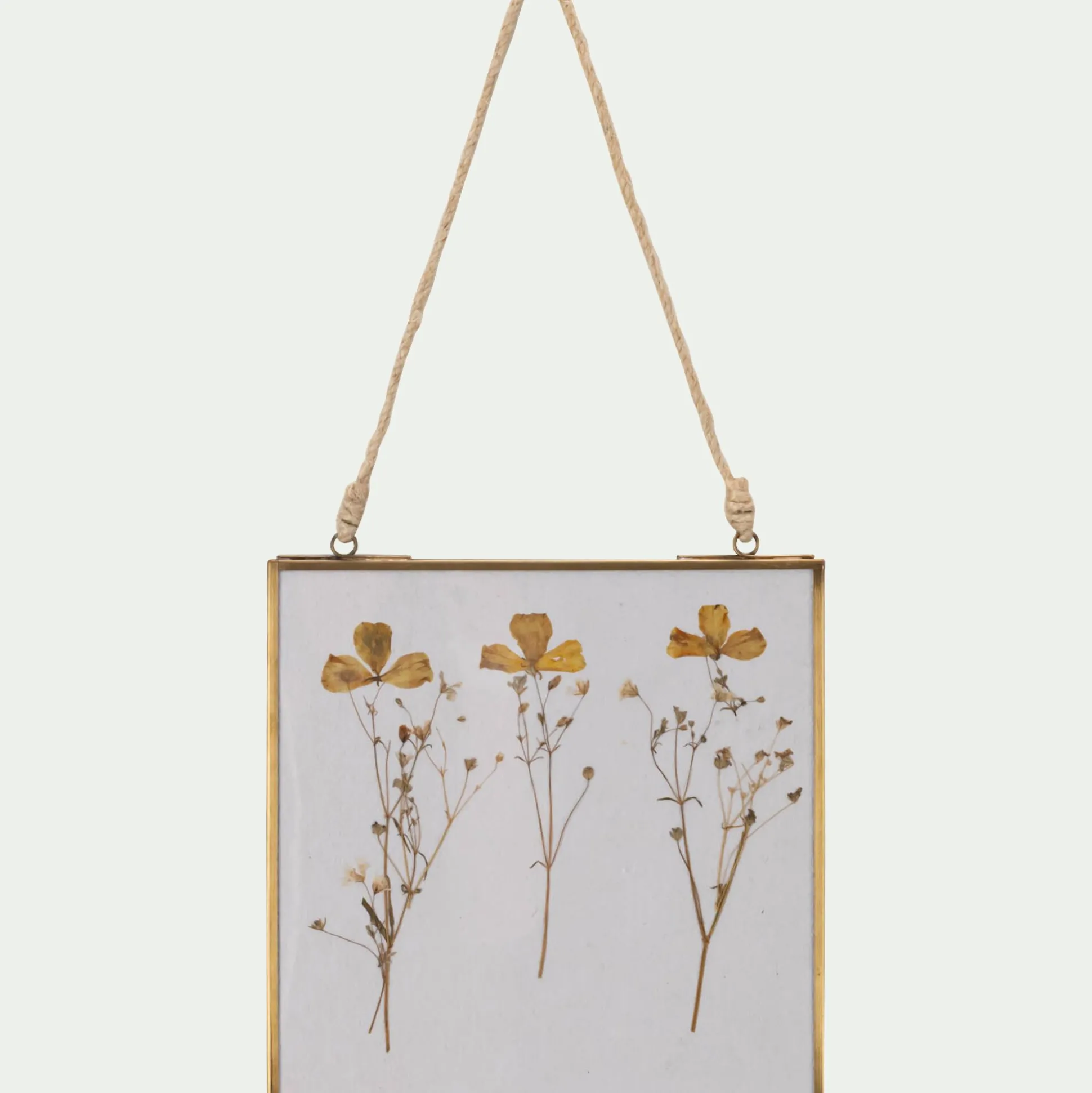 Cadre décoratif avec fleurs séchées 20x20cm - doré