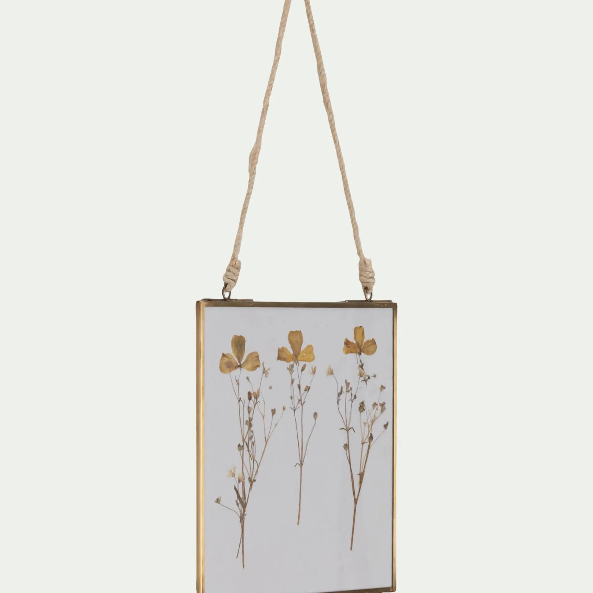 Cadre décoratif avec fleurs séchées 20x20cm - doré