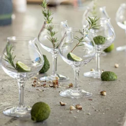 Coffret de 6 verres à rhum en cristallin 17cl - transparent