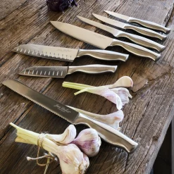 Couteau office en inox