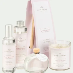 Diffuseur de parfum senteur Fleur de Cerisier 100ml