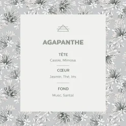 Diffuseur de parfum senteur Agapanthe 100ml