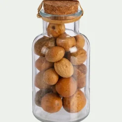 Flacon déco végétaux séchés - transparent (modèle aléatoire)