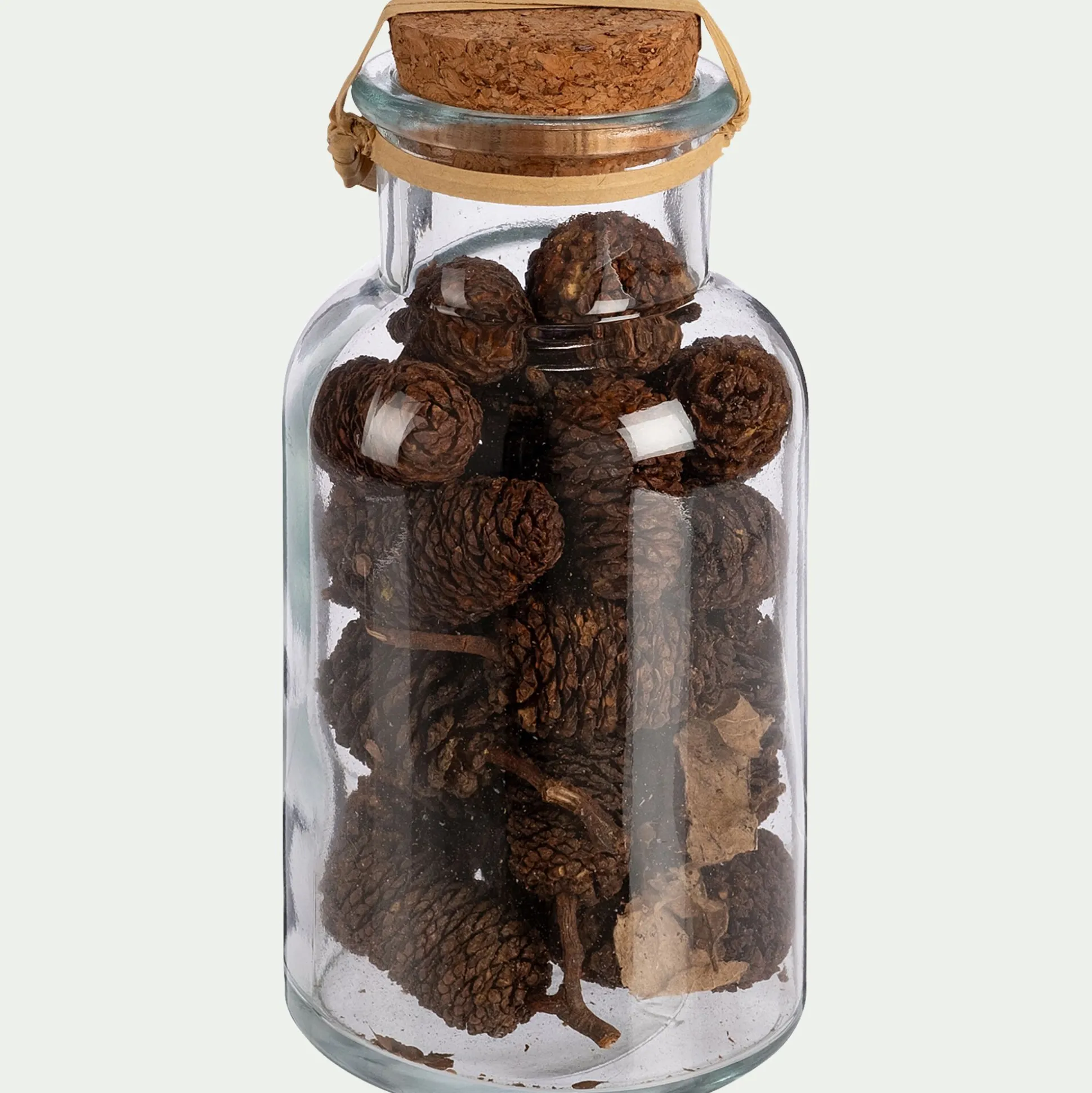 Flacon déco végétaux séchés - transparent (modèle aléatoire)