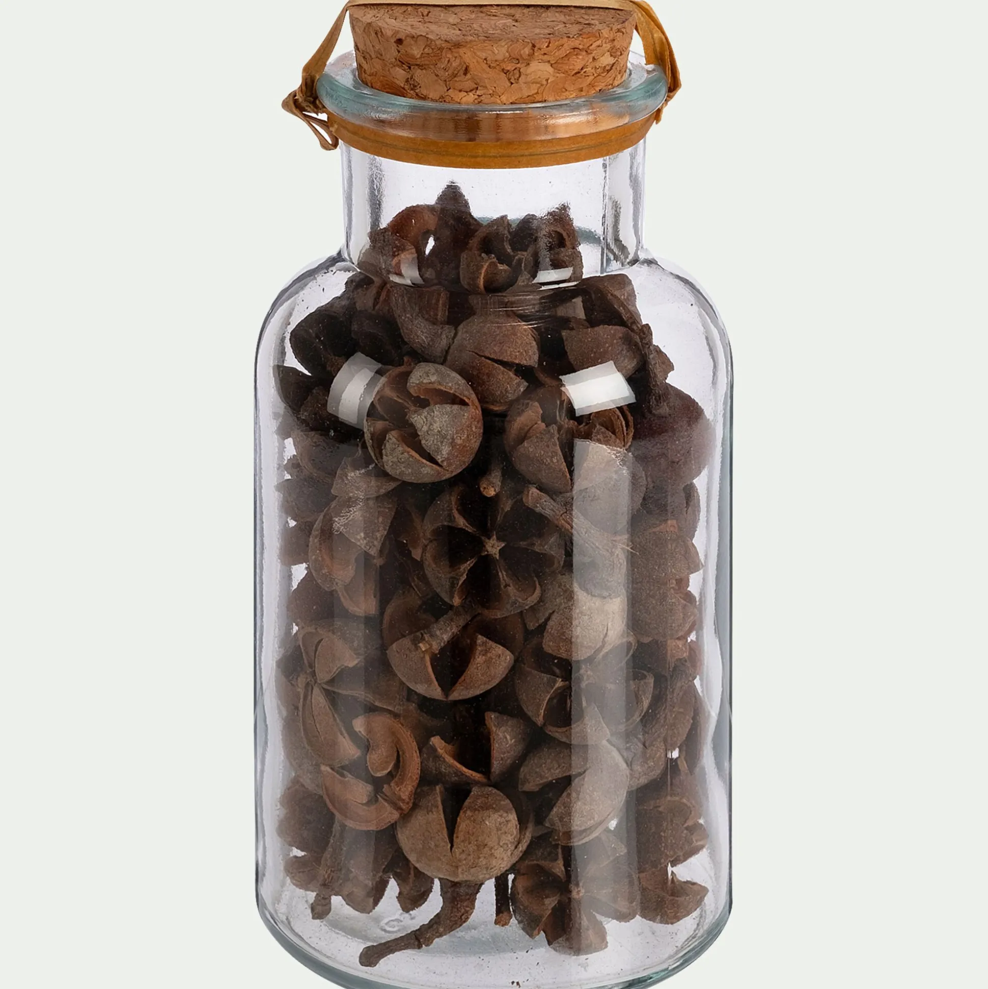 Flacon déco végétaux séchés - transparent (modèle aléatoire)