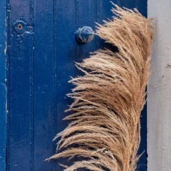 Herbe de pampa séchée - naturel H160 cm