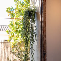 Hoya artificiel H80cm - vert