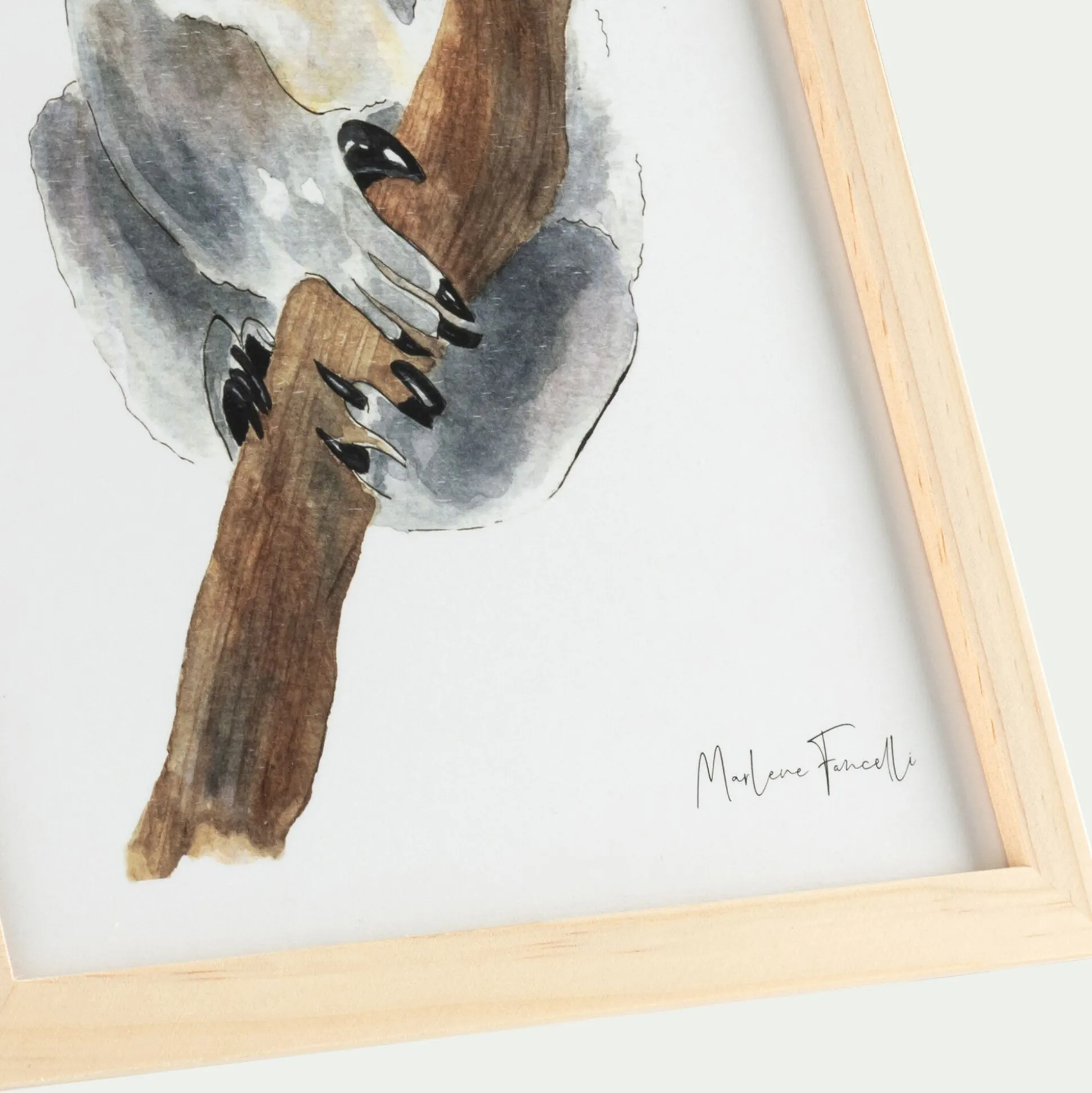 Image aquarelle encadrée Koala - A4