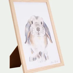 Image aquarelle encadrée Lapin bélier - A4