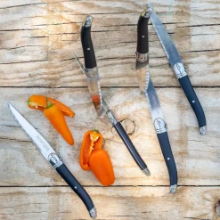 Lot de 6 couteaux à steak en inox - noir