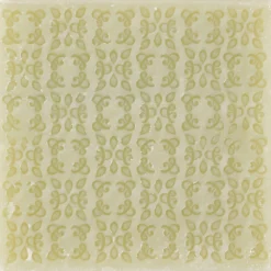 Lot de 2 savons de Marseille à l'aloe vera bio senteur verveine 100g