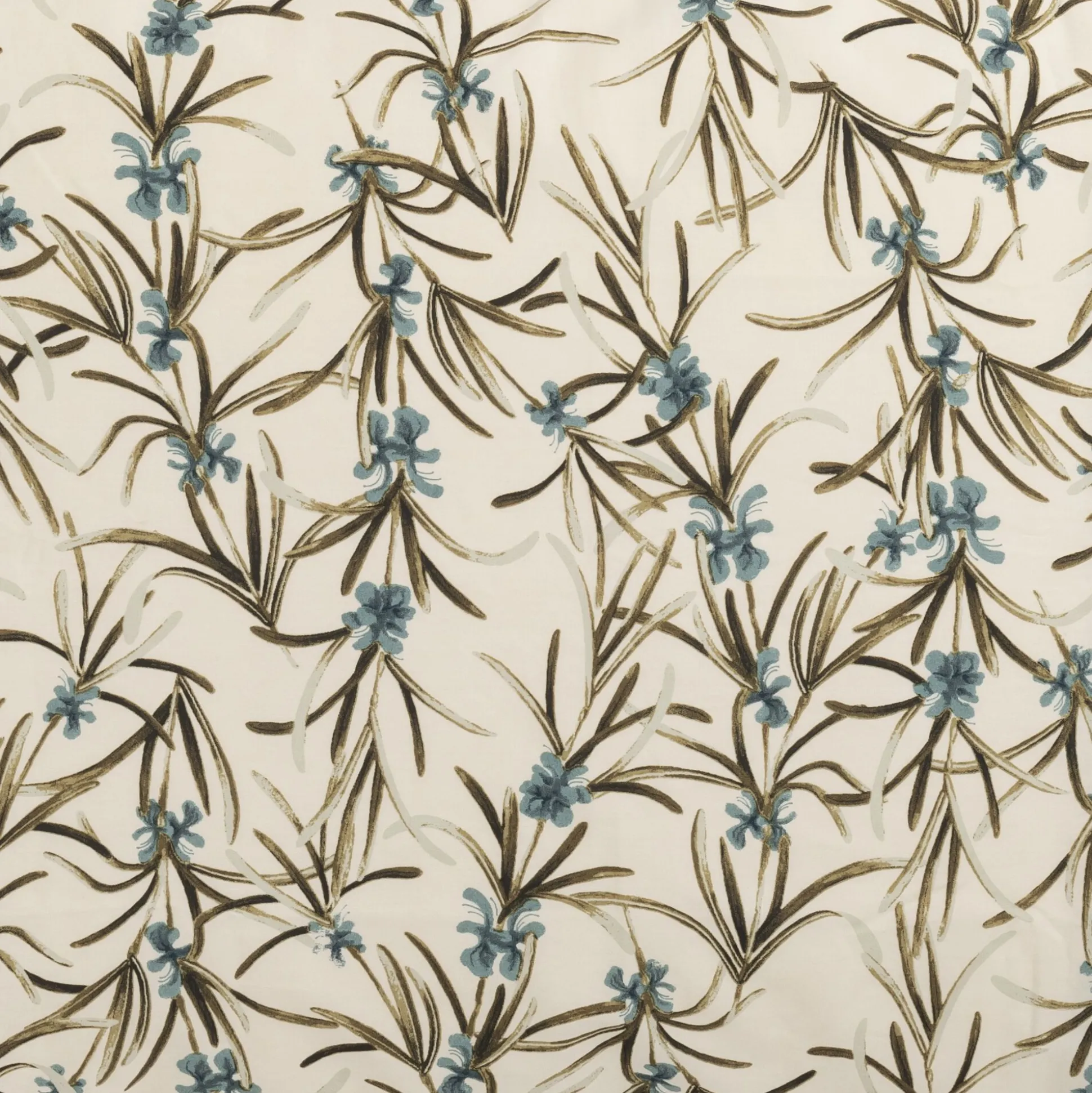 Lot de 2 taies d'oreiller en percale de coton 50x70cm - motifs romarin