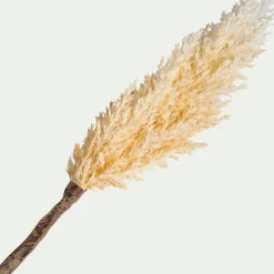 Pampa LED électrique H70cm - beige (modèle aléatoire)