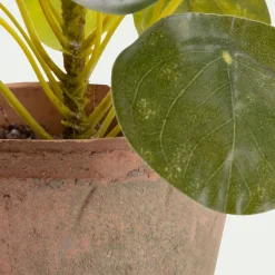 Pilea artificiel en pot H13cm - vert