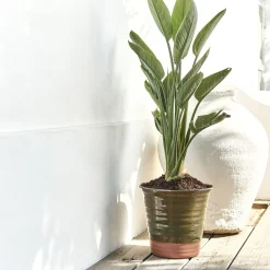 Pot bicolore en terre cuite D29cm - vert