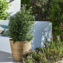 Pot en bambou D48xH46cm - naturel