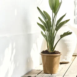 Pot en terre cuite D30cm - jaune