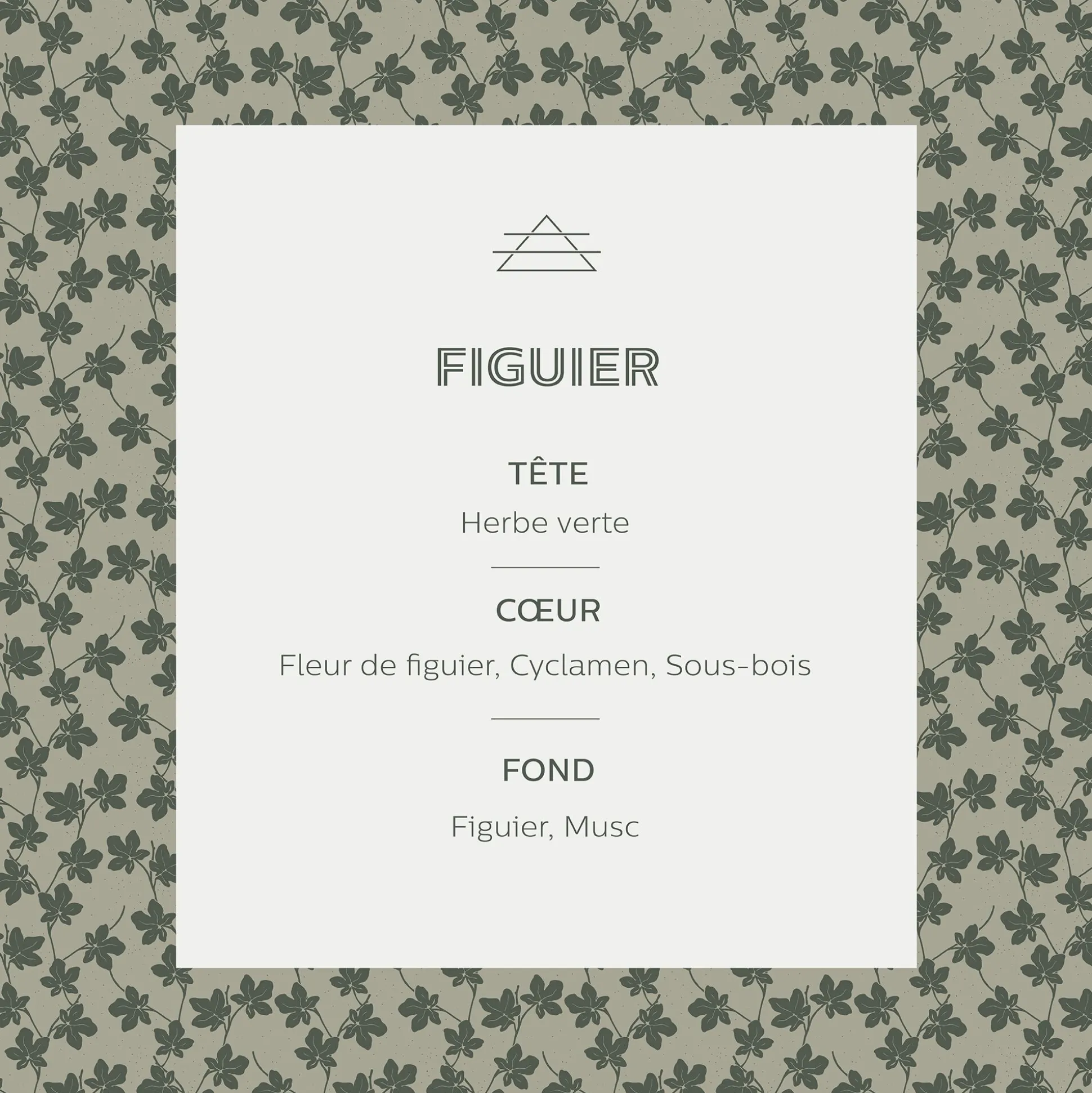 Vaporisateur senteur Figuier 100ml